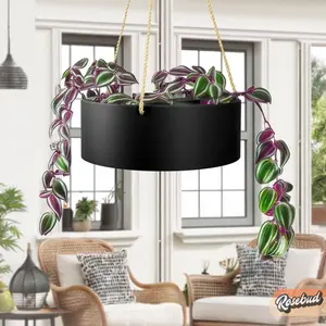 Hanging Chandelier Planter with Drainage Hanging Chandelier Planter with Drainage