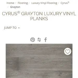 Cyrus Grayton Gray Vinyl Flooring -  12 Millimeter Wear Layer from MSI International removable sidewall