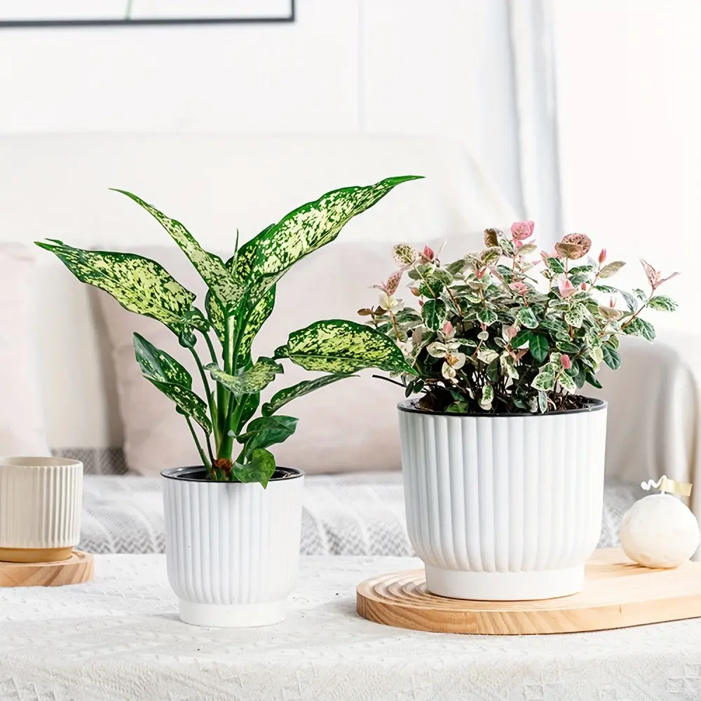 White Plastic Round Self-Watering Pots with Watering System for Indoor Outdoor Use, Nursery Planting Containers for House Plants, Flowers, African Violets (Plants Not Included)