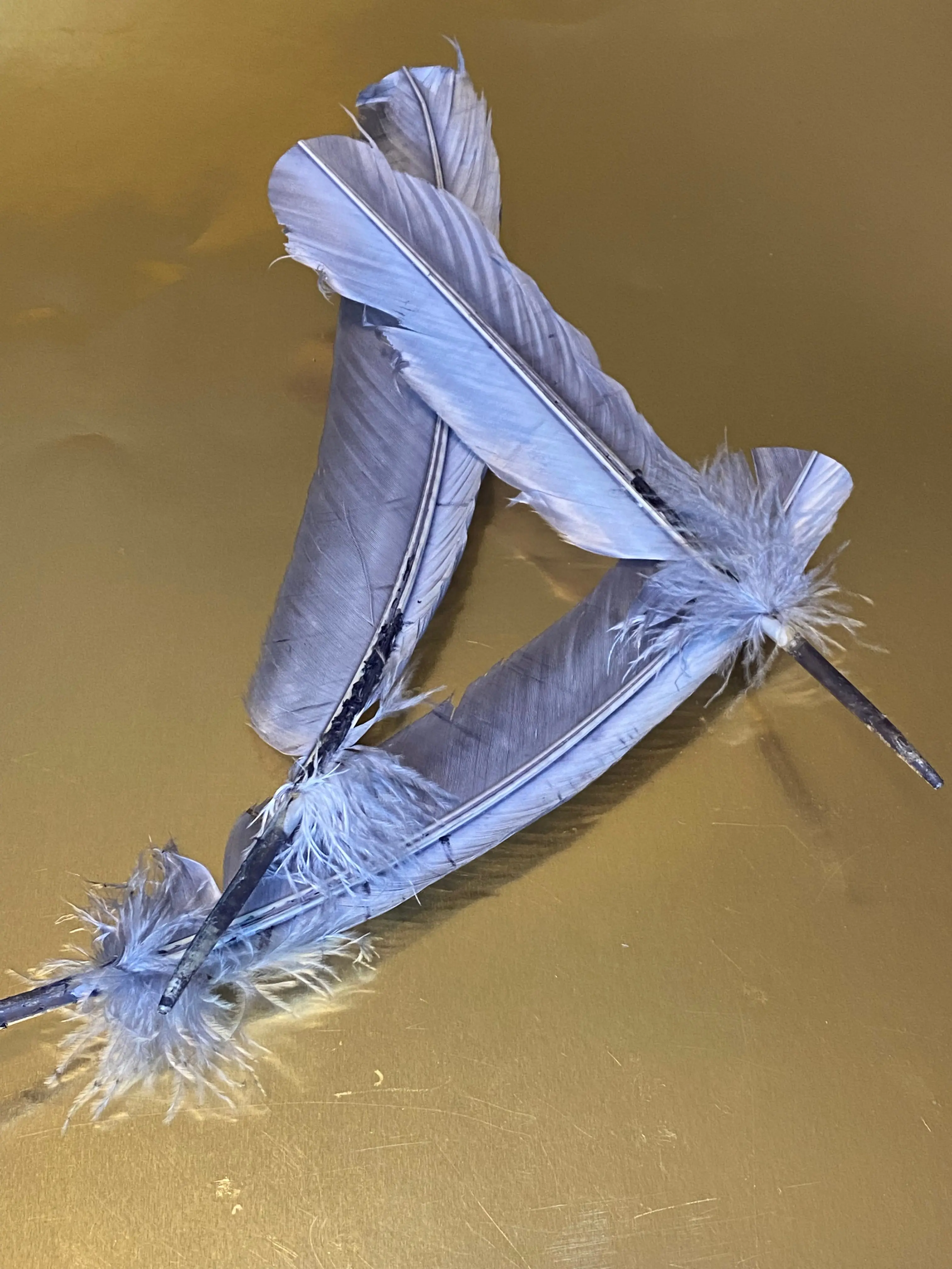 Spiritual Feather