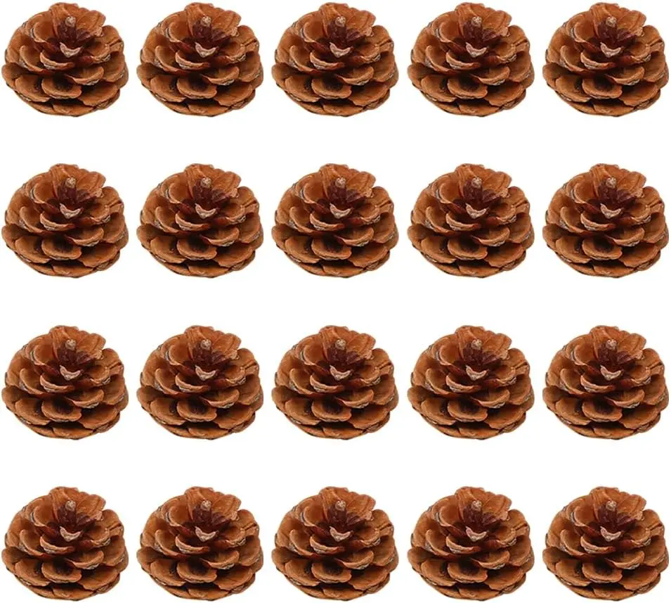 20 PCS Artificial Pine Cones Set - Rustic Mini 2-3cm Pinecones for Christmas Tree Decor, Gift, Vase Centerpiece & DIY Holiday Crafts (Home & Festive Party Supplies)