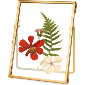 Glass Pressed Flower Frame Handmade Floating Picture Frames for Pressed Flowers Tabletop Artwork Photo Frames Brass Desk Picture Frame for Home Office Plant Specimen Gold 4x6 Inches