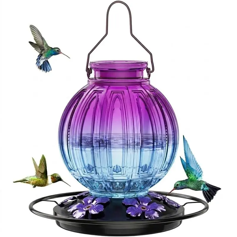 Glass Hummingbird Feeder - Outdoor Hanging Bird Water Feeder with Perch for Outdoor Birds, Hanging Feeders