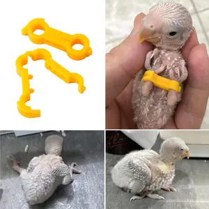 3Pcs Chick Leg Stabilizer Baby Birds Splay Leg Correction Band Newborn Parrot Leg Hobble Brace Support useful Bird Leg Supplies,summervibes