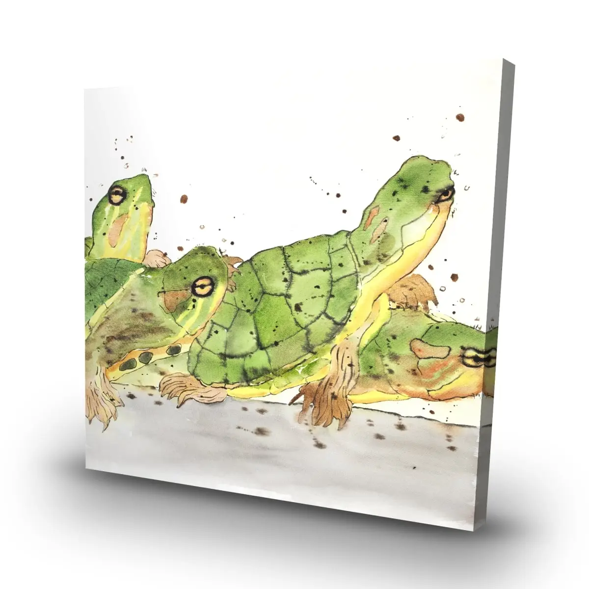 360 stand High-Def Green Wildlife Art Poster - 32x32 in. Small Aquatic Turtles Artwork, Artistic Home Wall Decoration, Ideal Home Supplies Gift, Nature, Print, Room, Animals, 32" X 32", Promotes Appreciation For Aquatic Life