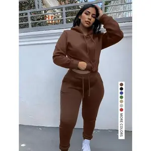 Casual Plain Drawstring Sweatshirt Outfit Set, Fitted Regular Length, Moderate Fabric, Fall & Winter Wear, Women's Clothing