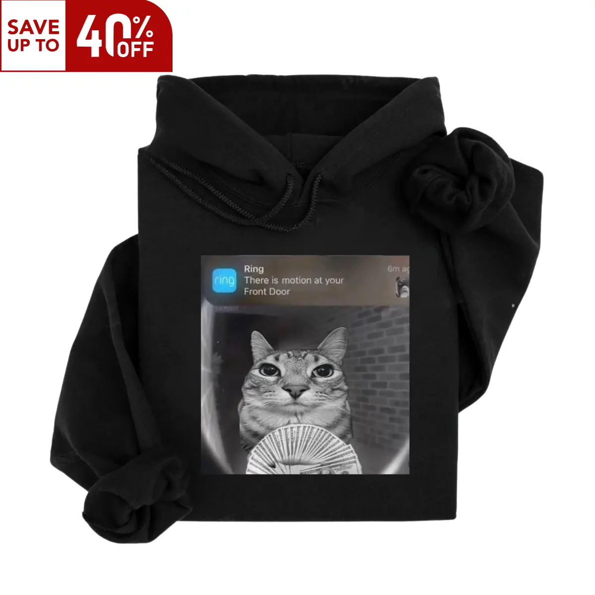 Ring Cat with Motion Meme - Funny Cat Hoodie, Parody Hoodie, Funny Cat, Cat Meme, Meme Hoodie, Silly Hoodie