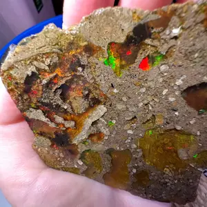 Natural Ethiopian Water Opal Specimen with clear base and red and green play of color or “fire” Cabbed Slab Opal