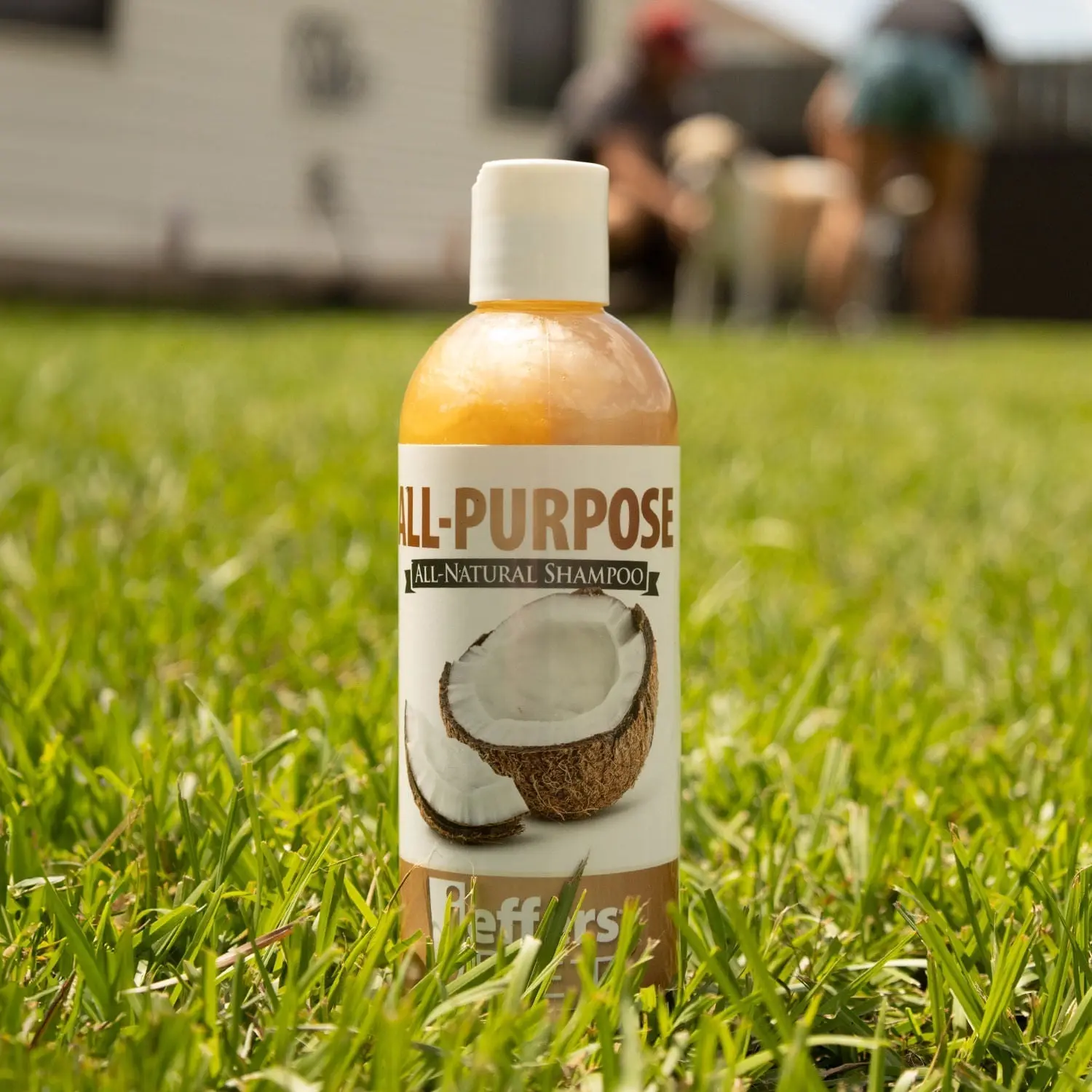 Jeffers Pet Tearless All-Purpose, All-Natural Coconut Oil Shampoo for Dogs & Cats
