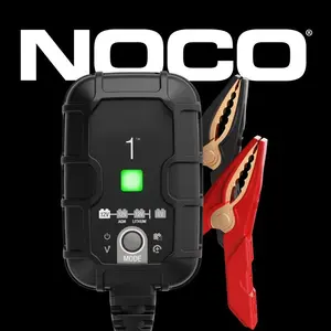 1A Smart Battery Charger, 6V and 12V, Battery Maintainer, Trickle Charger and Desulfator