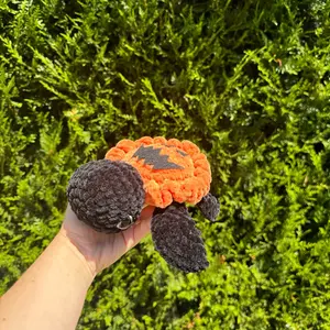 Spooky Jack turtle