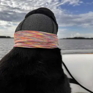 Professional Dog Ear Muffs, Noise-Canceling for Swimming, Thunderstorms & Vet Visits, Breathable Memory Foam, for Puppy to Adult Dogs, Anxiety Relief & Secure Fit