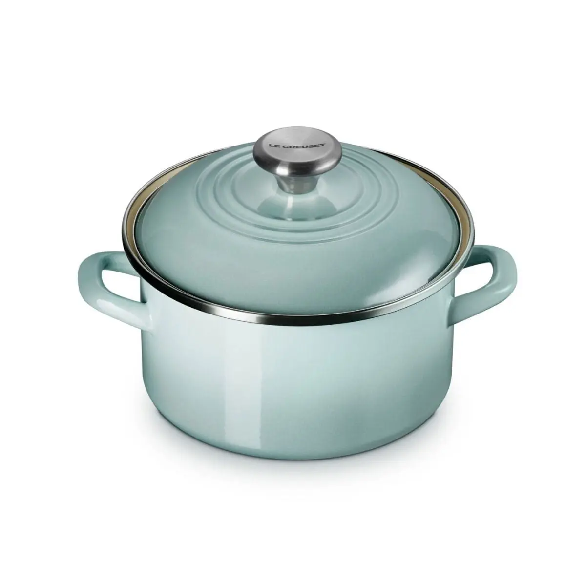 Le Creuset 3.8 Qt. Petite Enamel On Steel Stockpot | Sea Salt