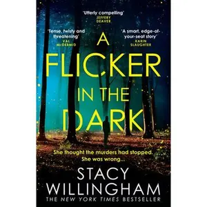 USED-A flicker in the dark by Stacy Willingham (Paperback)