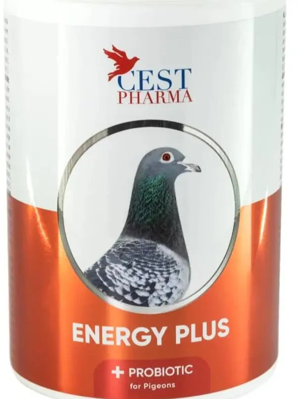Cest Pharma Energy Plus Bird Healthcare Supplement - Essential Carbohydrates for Pigeons, Probiotics, Nutritional Support for Bird Feeding Needs