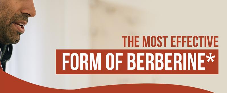 SoActive Berberine | High-Absorption Berberine Phytosome – Clinically Validated Formula for Heart and Cellular Health – 60 Servings Healthcare Fitness dietary