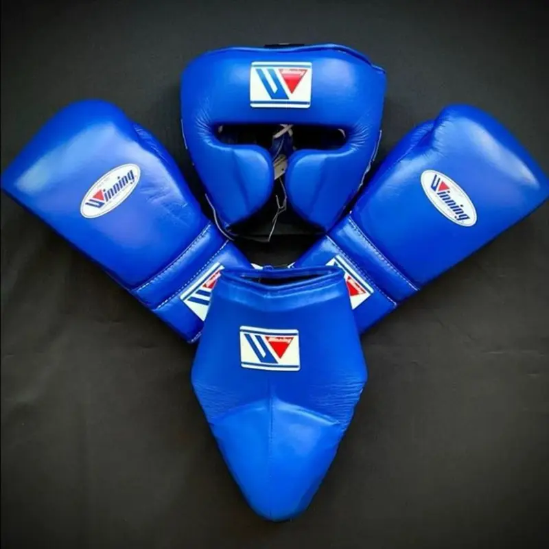 Viking Blue Boxing Gloves & Headgear Set for Training & Sparring