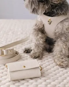 Luca Harness Ivory Leather Walk Kit