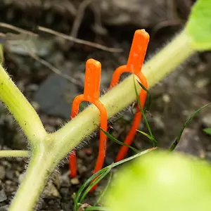 100pcs Gardening Plant Fastening Clips - Plastic Clamps for Securing Vines, Fruits & Vegetables