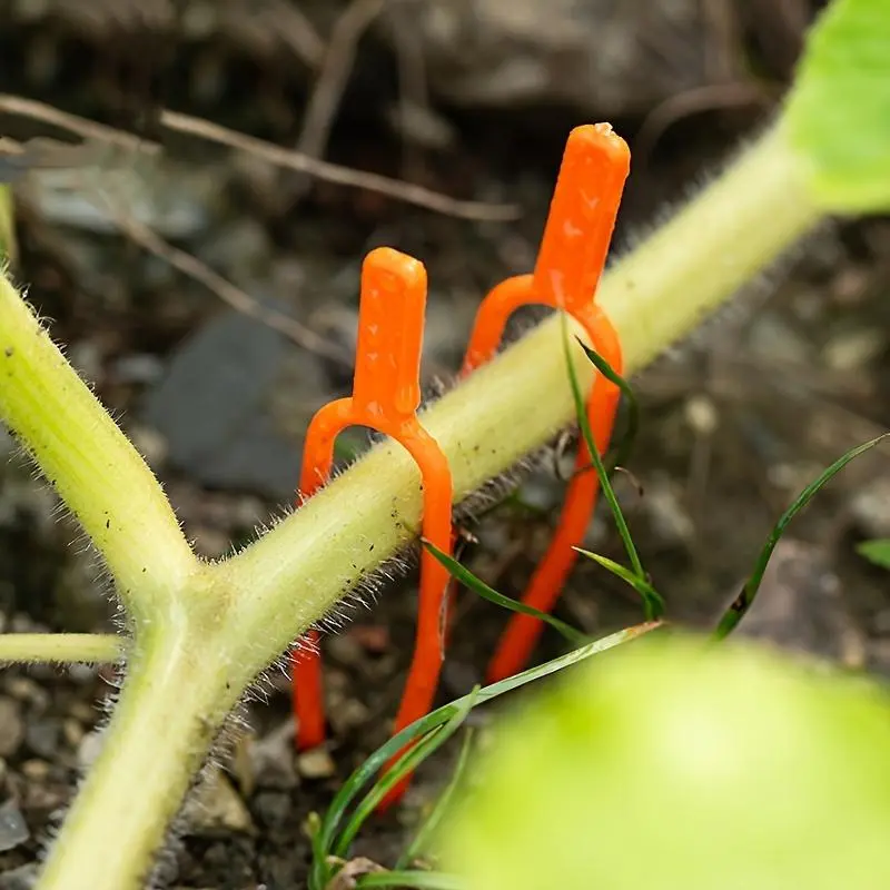 100pcs Gardening Plant Fastening Clips - Plastic Clamps for Securing Vines, Fruits & Vegetables