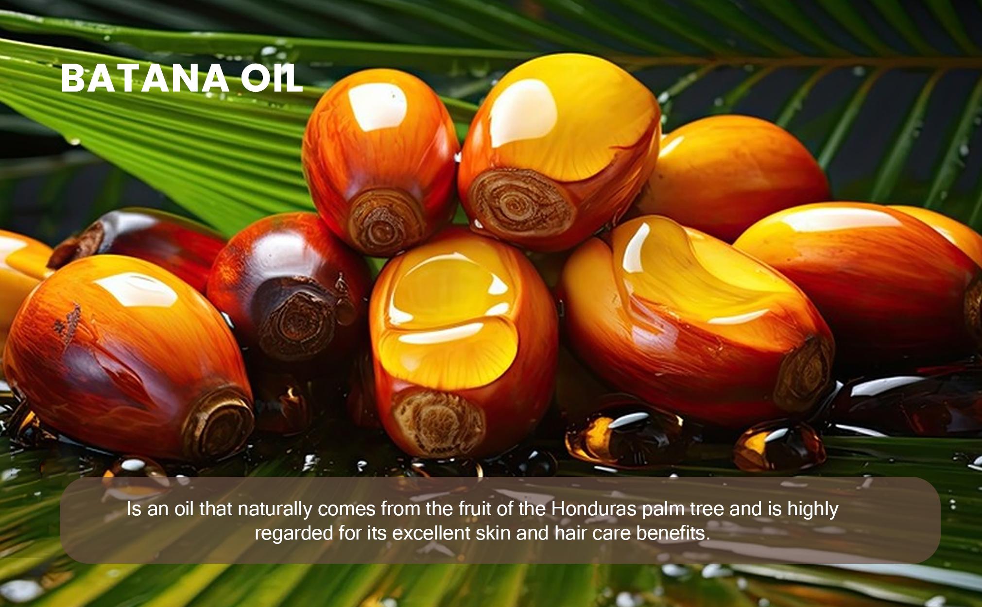 Disunie Batana Oil for Natural Hair Oil, Dr Sebi Miracle Oil, 3.71 OZ Moisturize Treatments/Scalp  Daily Comfort Repair Daily Lightweight Repairing