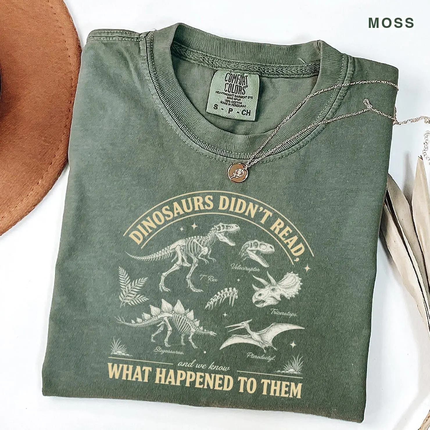Comfort Colors Dinosaurs Didn't Read Shirt, Funny Dinosaur Skeleton Tee, Paleontology Science Teacher Gift, Fossil Lover T-Shirt, Vintage Dino Graphic Apparel