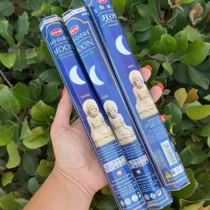 HEM The Moon Incense Sticks, Hexagon Pack, 20 Sticks, Lunar Incense, Meditation Incense, Spiritual Cleansing, Relaxing Home Fragrance