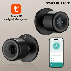 Biometric Smart Door Lock with App Door Lock keyless door lock with Video Doorbell biometric  knob
