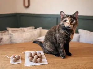 Silvervine Cork Cat Balls – Natural Cat Toy (3 or 10 Count) – Lightweight, Plastic-Free