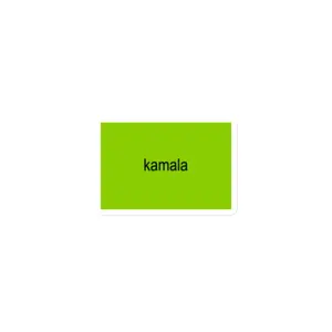 Kamala Brat Lime Green Magnet - Decorative Magnetic Matte Vinyl
