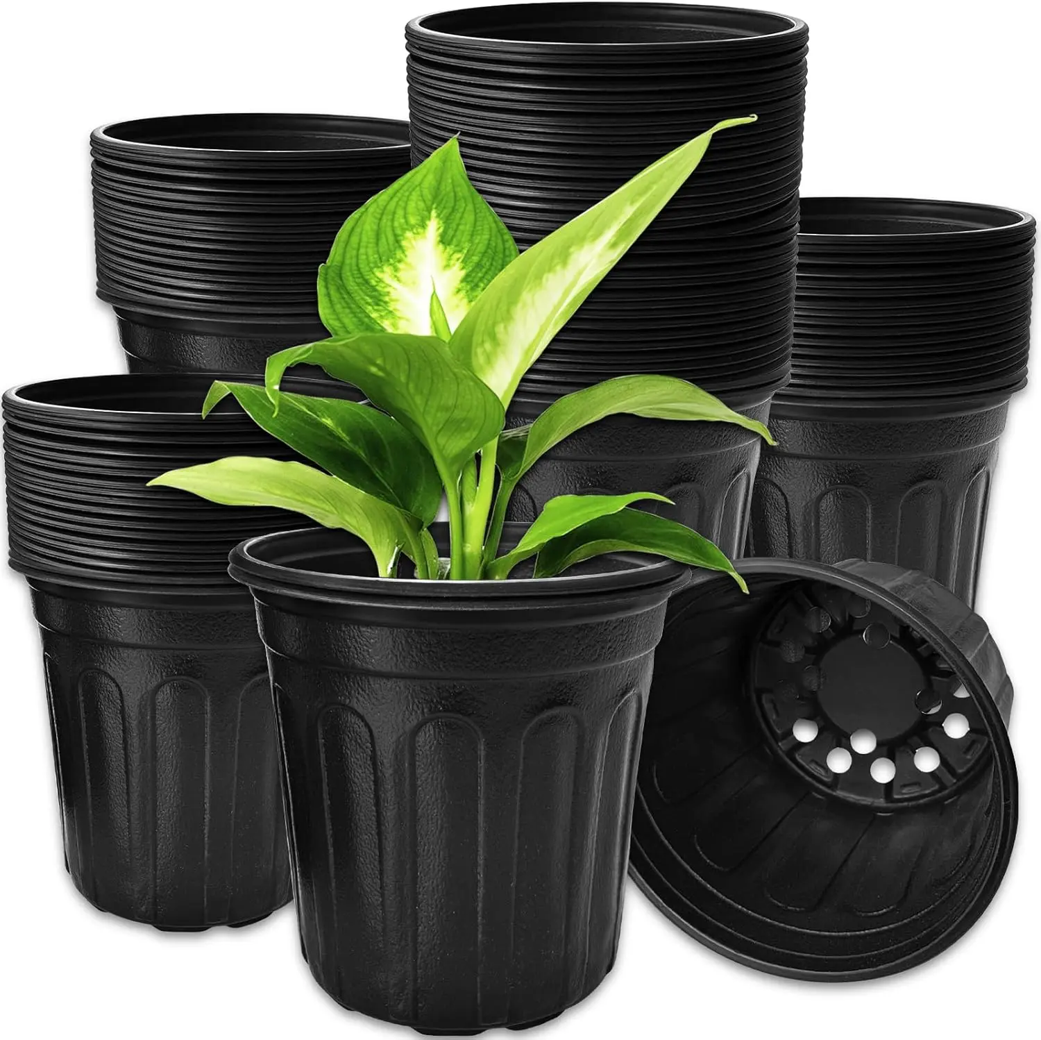 60-Pack Reused Soft Thin Plastic Plant Pot Set, 1-Gal Flexible Seed Starting Containers with Drainage Holes, 5.1in Bottom Diameter, 6.5in Opening Diameter, 6.7in Height for Home Improvement Garden Supplies, 5.1 In Bottom Diameter