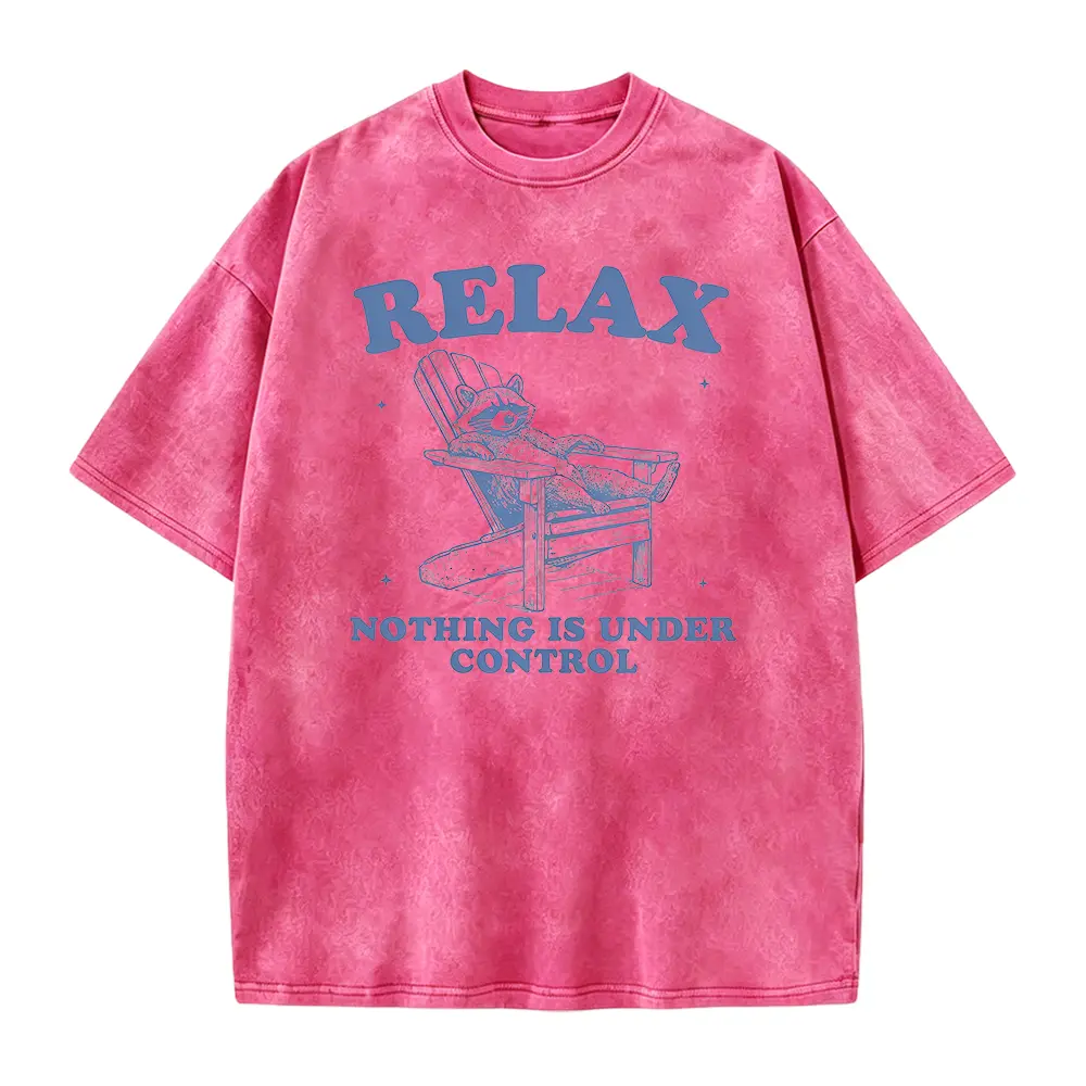Relax Nothing Is Under Control T-Shirt, Sarcastic Humor Shirt, Ironic Meme Shirt, Boxy Cropped Shirt, Funny Anxiety Shirts