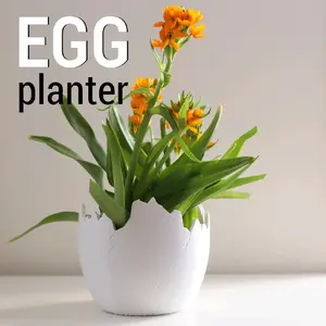 Broken egg planter