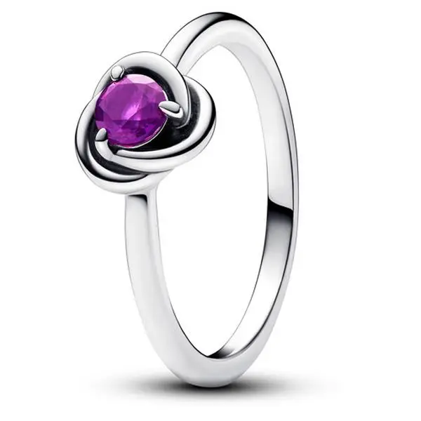 Pandora February Purple Eternity Circle Ring 192993C02-56