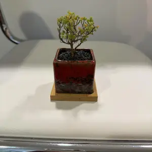 review image 2