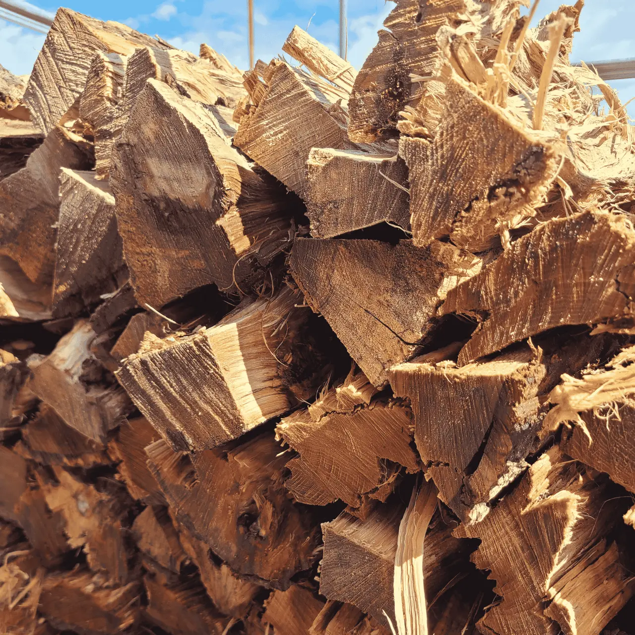 Hickory - Cooking Wood By the Stick