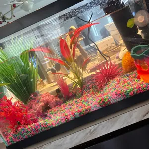 10 gallon aquarium