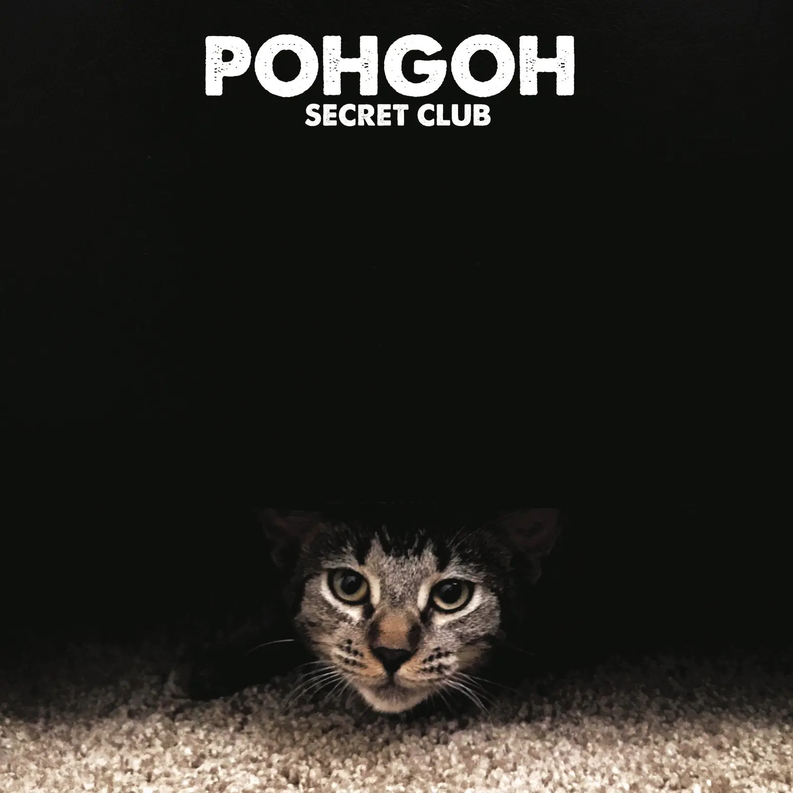 Pohgoh: Secret Club: Black Vinyl