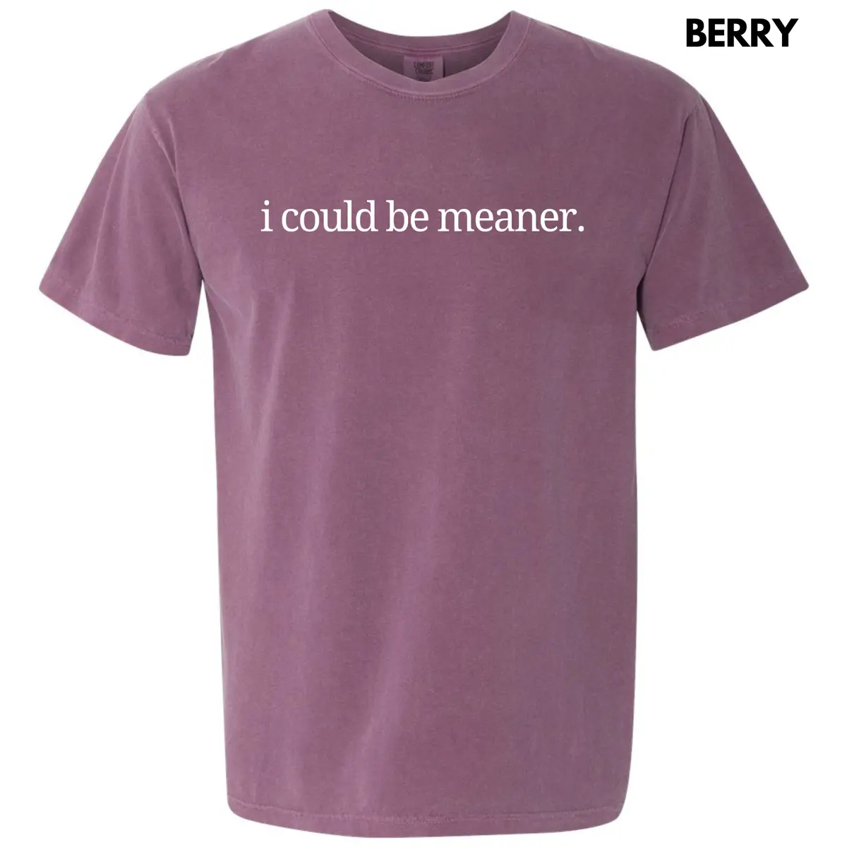 I Could Be Meaner Comfort Colors T-Shirt 'NLB'