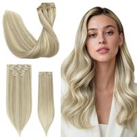 Ash Blonde Highlights (17A/60)