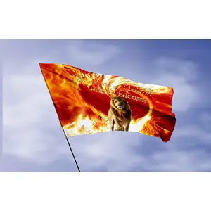 Lion of Judah Flag | Christian Faith Banner | Religious Spiritual Gift | Prophetic Worship Flag | Fire Lion Art | Outdoor and Indoor Use