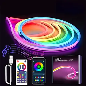 Rgbic Bluetooth-compatible LED Neon Light Strip Ip67 USB Powered Music Sync DIY APP Control Smart Neon Rope Lamp for Home Decoration