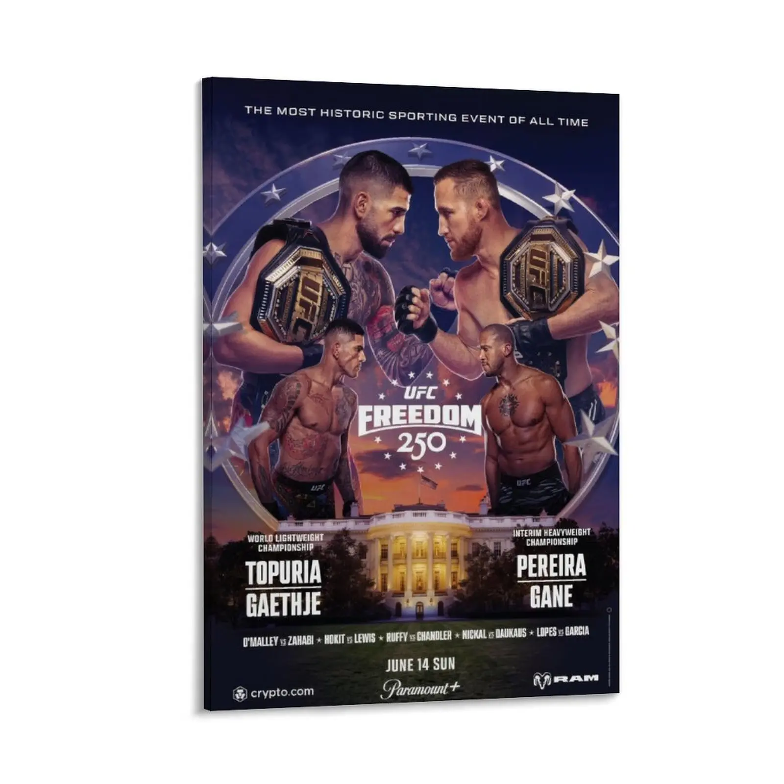 UFC Freedom 250 Championship Event Poster, June 14 White House MMA Sports Wall Art, Bedroom Gym Office Game Room Decor
