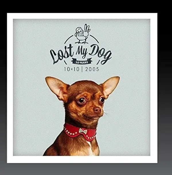 Various Artists - Lost My Dog 10 x 10 - 2005  [COMPACT DISC - CD]