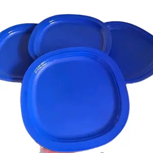 Blue Microwave Reheatable Luncheon Plates - Lightweight & Unbreakable for Kids - Perfect for Picnics & Outdoor Activities - 24x24 cm