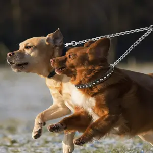 Professional Fashion Large Dog Chain, 1 Drag 2, Dual Head P Chain Polished Smooth Adjustable Length No Choke Training Leash