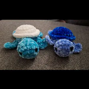 Baby Turtle