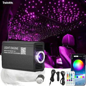 Twinkle 500pcs*0.03in*6.5ft/500pcs*0.03in*9.8ft Starlight Headliner Kit, 16W Fiber Optic Lights, Star Lights for Car Roof Decor with APP/Remote Control