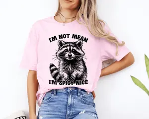 I'm Not Mean I'm Spicy Nice Unisex TShirt Oversized Crewneck Short Sleeve Casual Cotton Pink Sarcastic Raccoon Graphic Tee for Men and Women