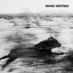 Wand - Vertigo NEW Vinyl Record 781484086512